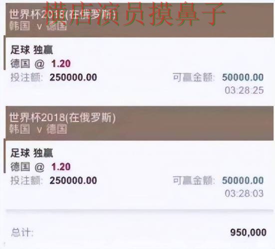 新手必看：世界杯买球平台用户反馈+直播详解 + 世界杯官方信息