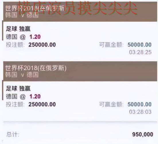 世界杯全球总决赛来临，世界杯投注平台推荐访问方式与平台选择深度评测